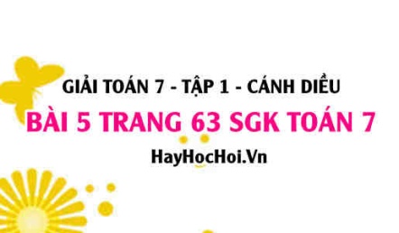 Giải bài 5 trang 63 Toán 7 Tập 1 SGK Cánh Diều